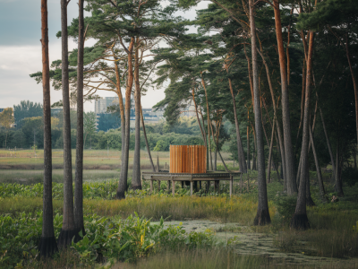 Comment fonctionne la filière du bois local : du massif forestier aux ateliers d'ébénisterie