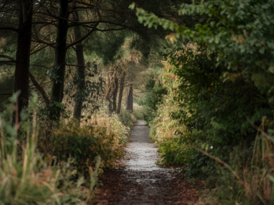 Où trouver et comment visiter les fourches et carrières oubliées du morvan sans guide