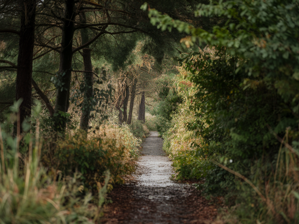 Où trouver et comment visiter les fourches et carrières oubliées du morvan sans guide